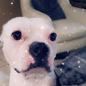 Meet your Posher, Lizeth